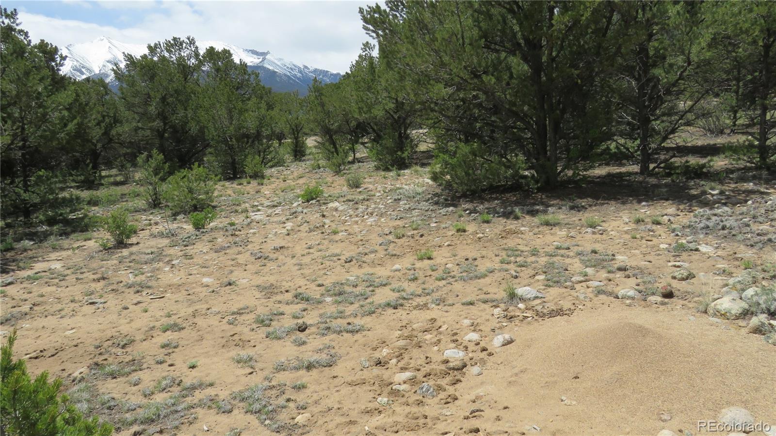 28922 Timber Ridge Buena Vista CO 81211