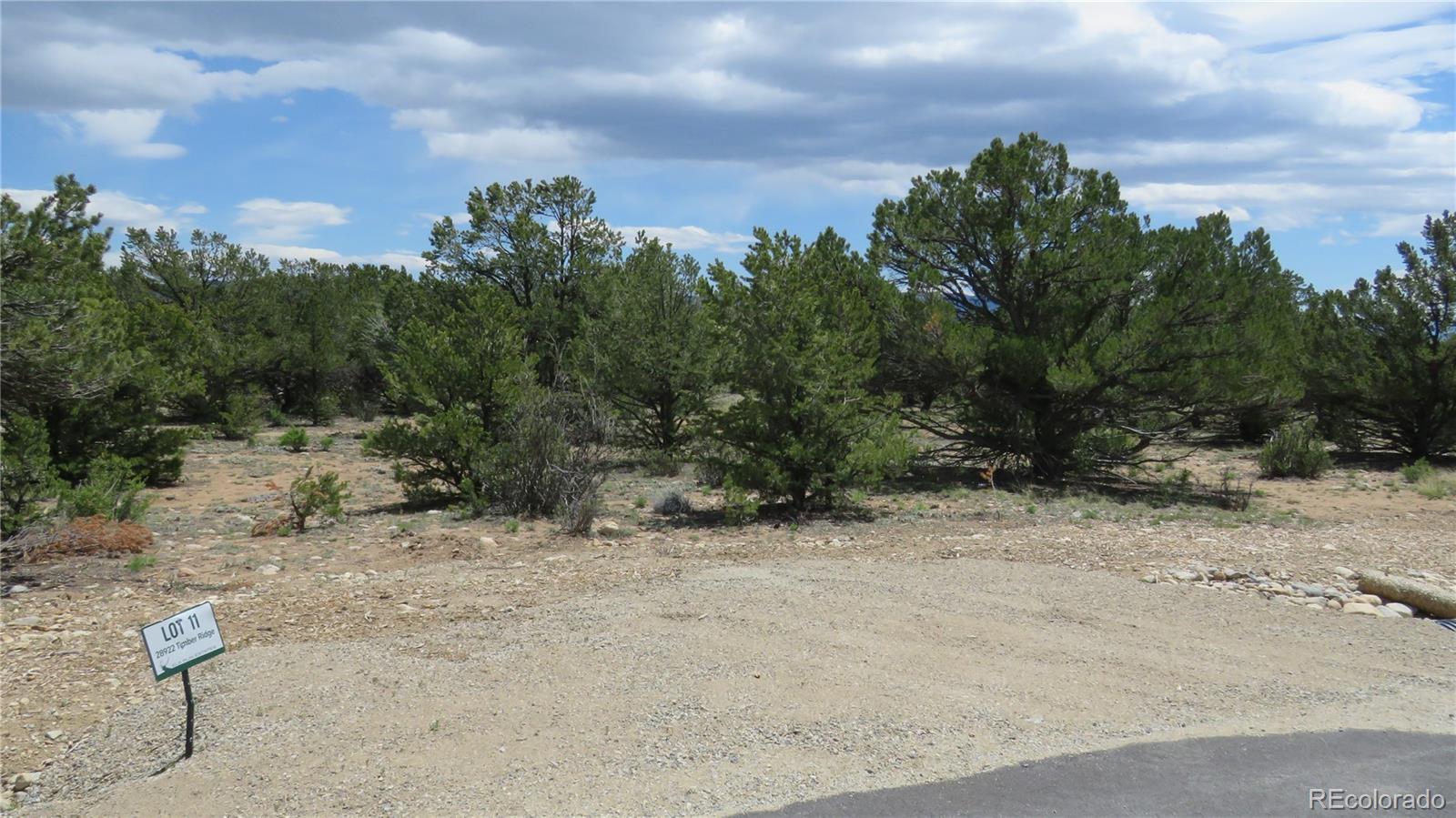 28922 Timber Ridge Buena Vista CO 81211