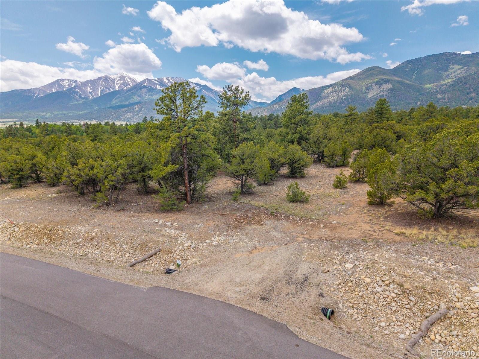 28922 Timber Ridge Buena Vista CO 81211
