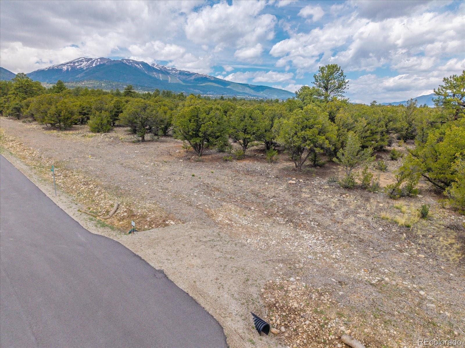 28922 Timber Ridge Buena Vista CO 81211