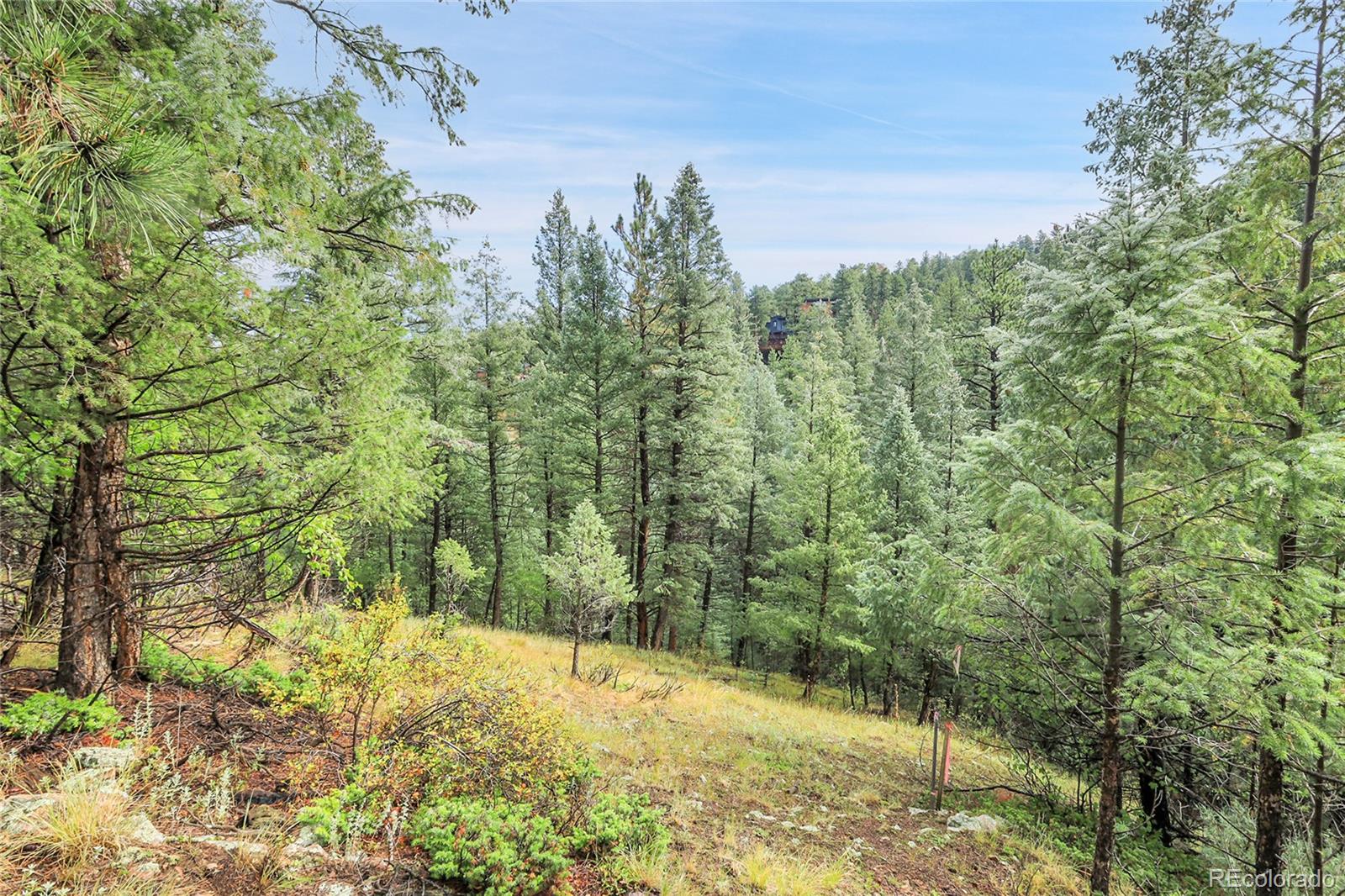 Tbd Mountain Park Road Evergreen CO 80439