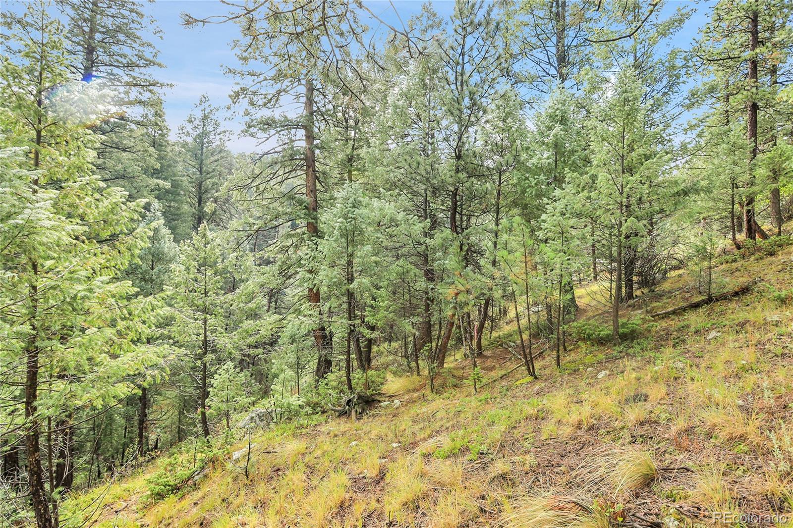 Tbd Mountain Park Road Evergreen CO 80439