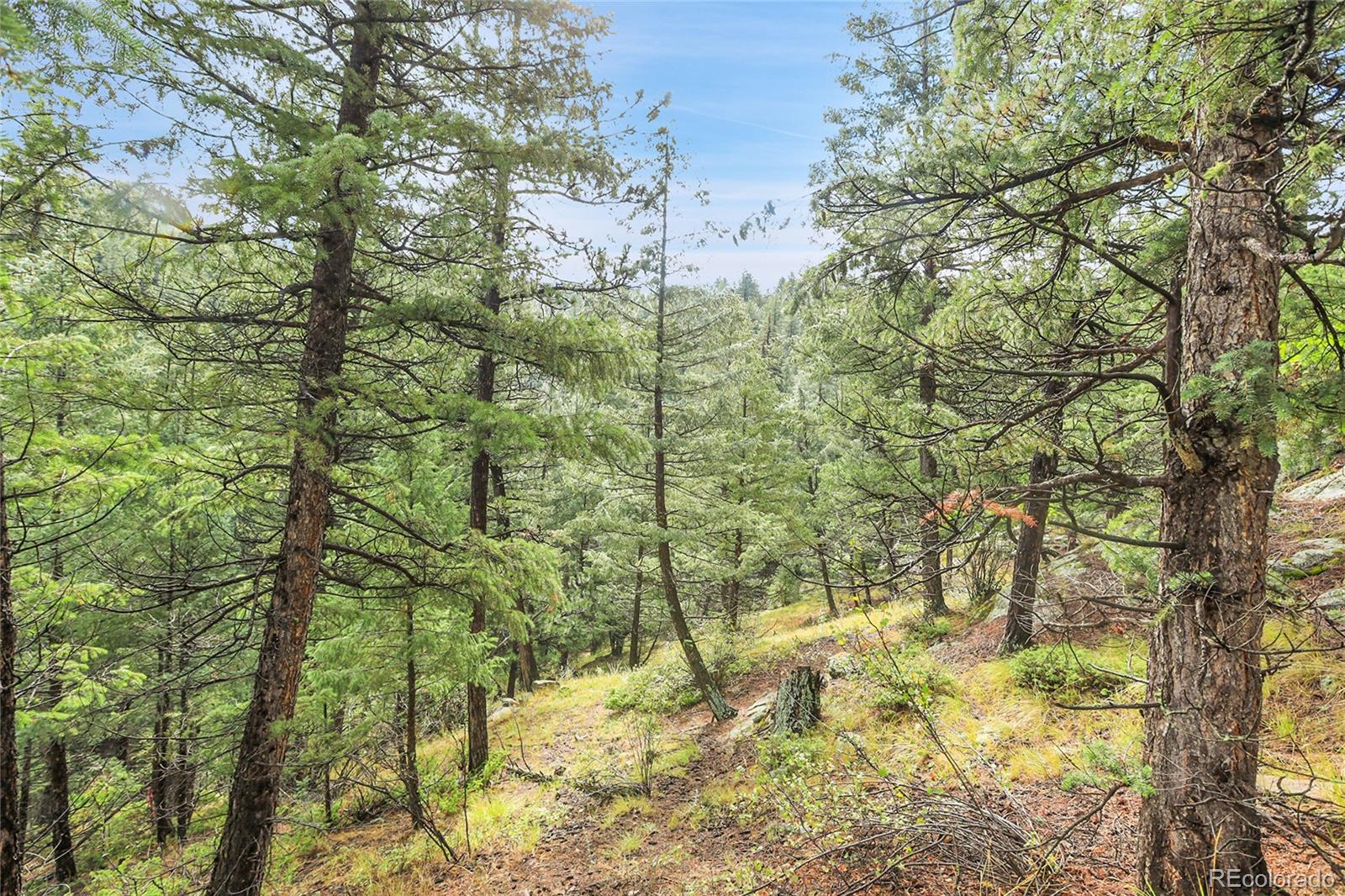 Tbd Mountain Park Road Evergreen CO 80439