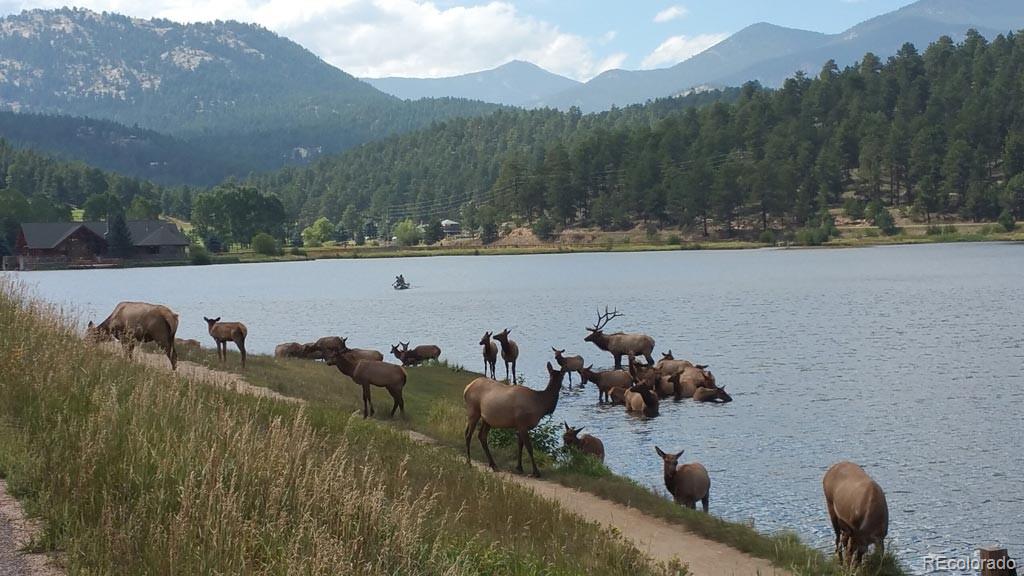 Tbd Mountain Park Road Evergreen CO 80439