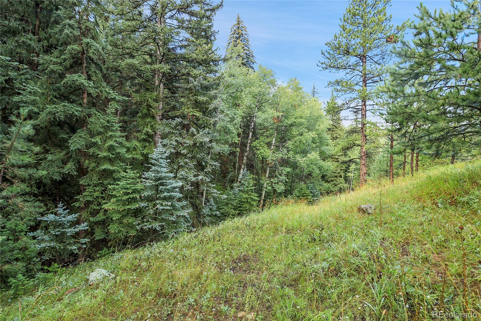Tbd Mountain Park Road Evergreen CO 80439