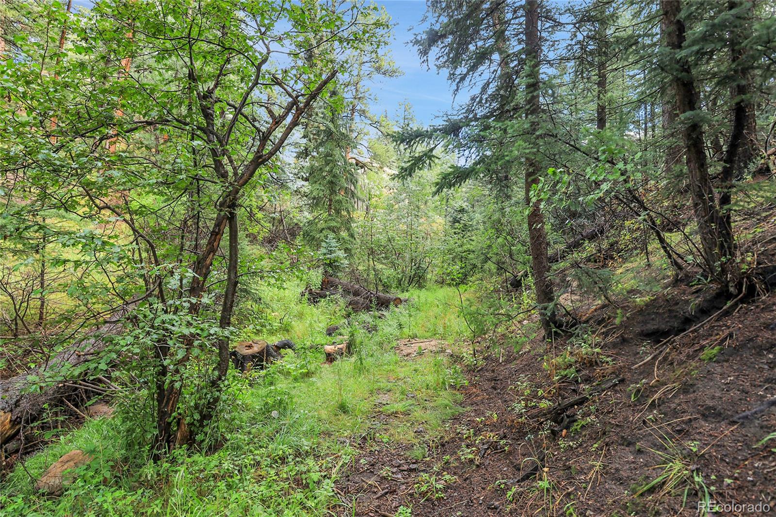 Tbd Mountain Park Road Evergreen CO 80439