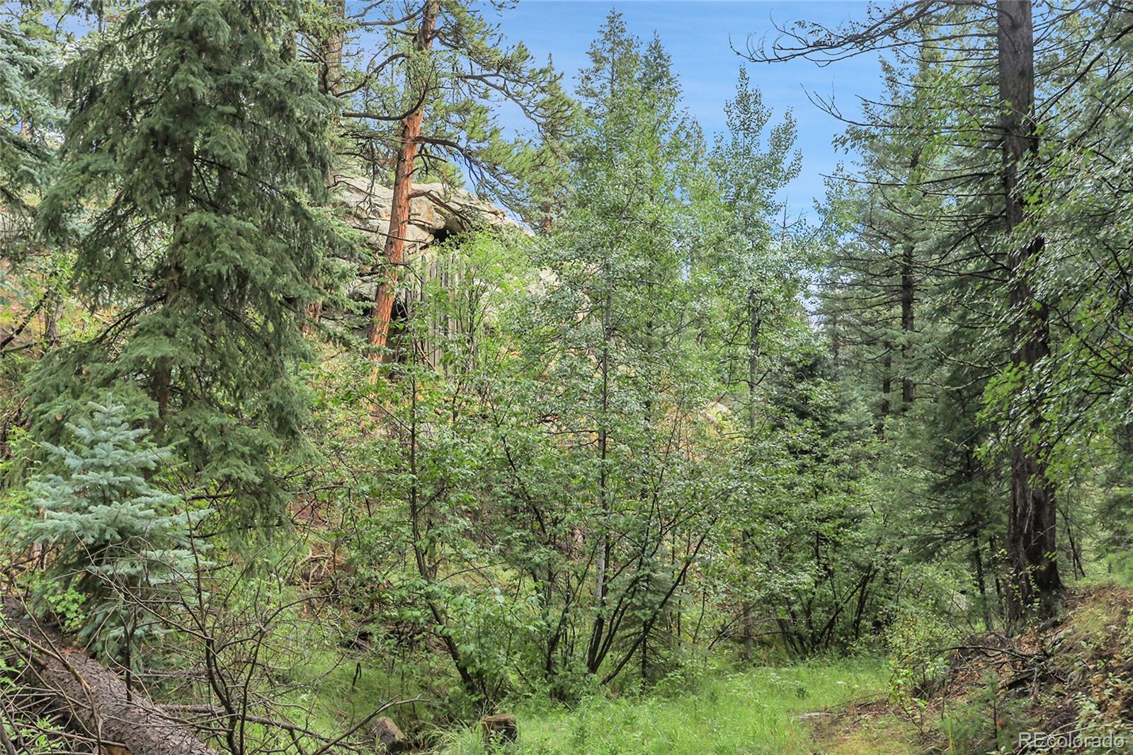 Tbd Mountain Park Road Evergreen CO 80439