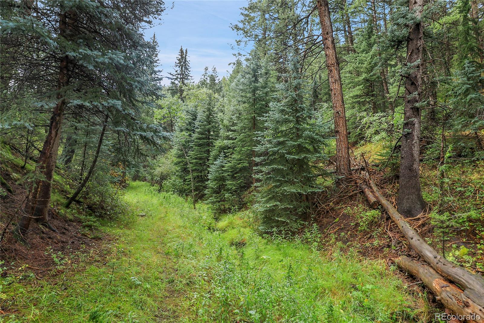 Tbd Mountain Park Road Evergreen CO 80439