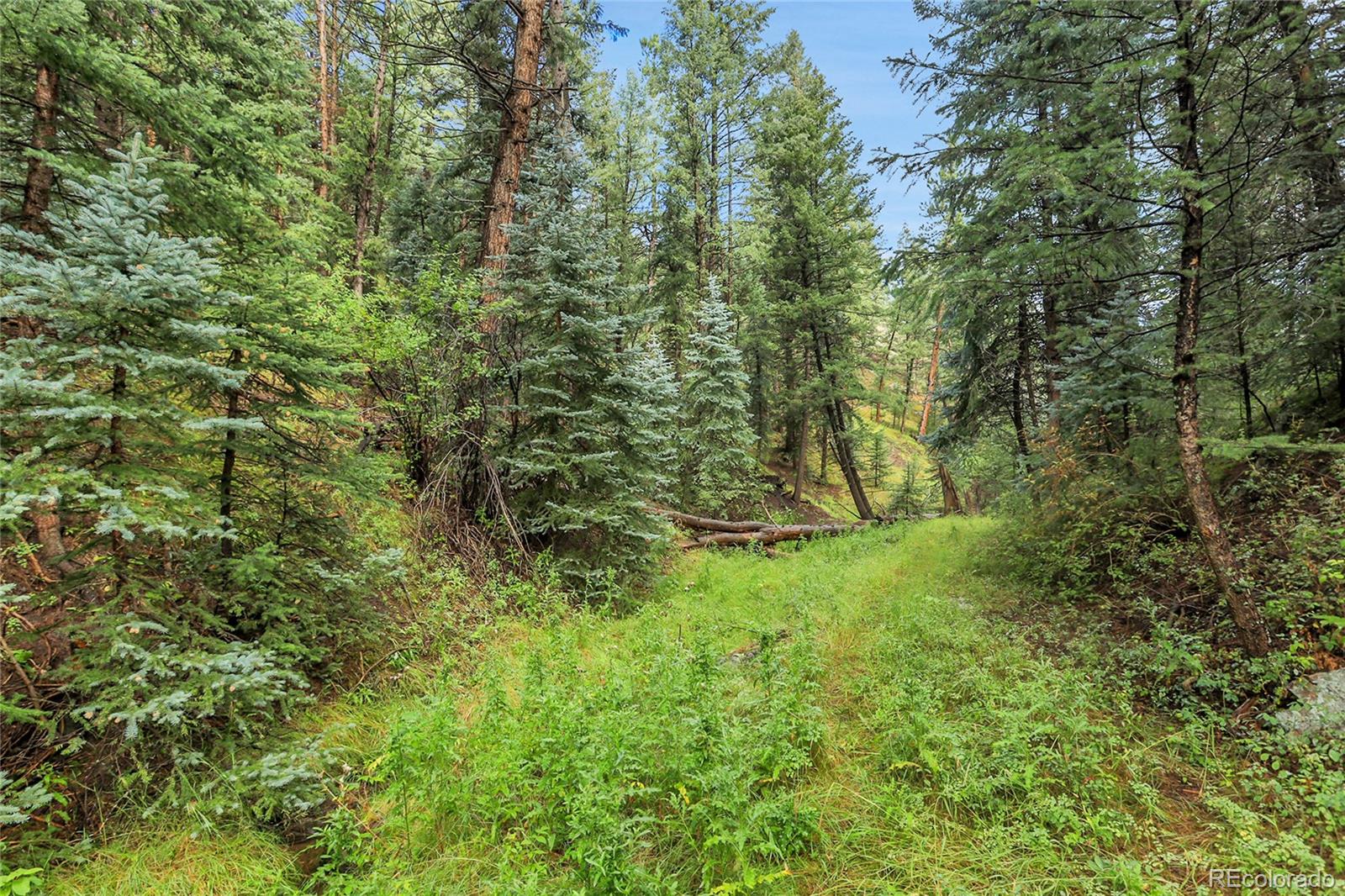 Tbd Mountain Park Road Evergreen CO 80439