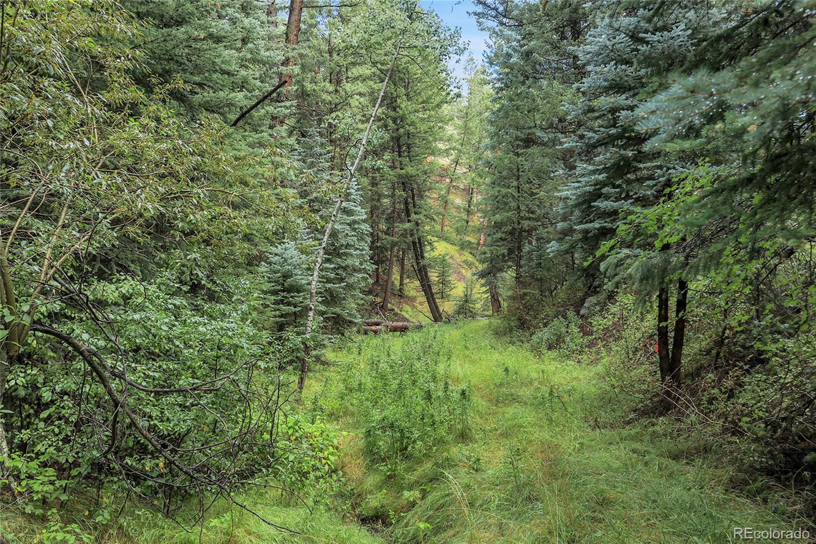 Tbd Mountain Park Road Evergreen CO 80439