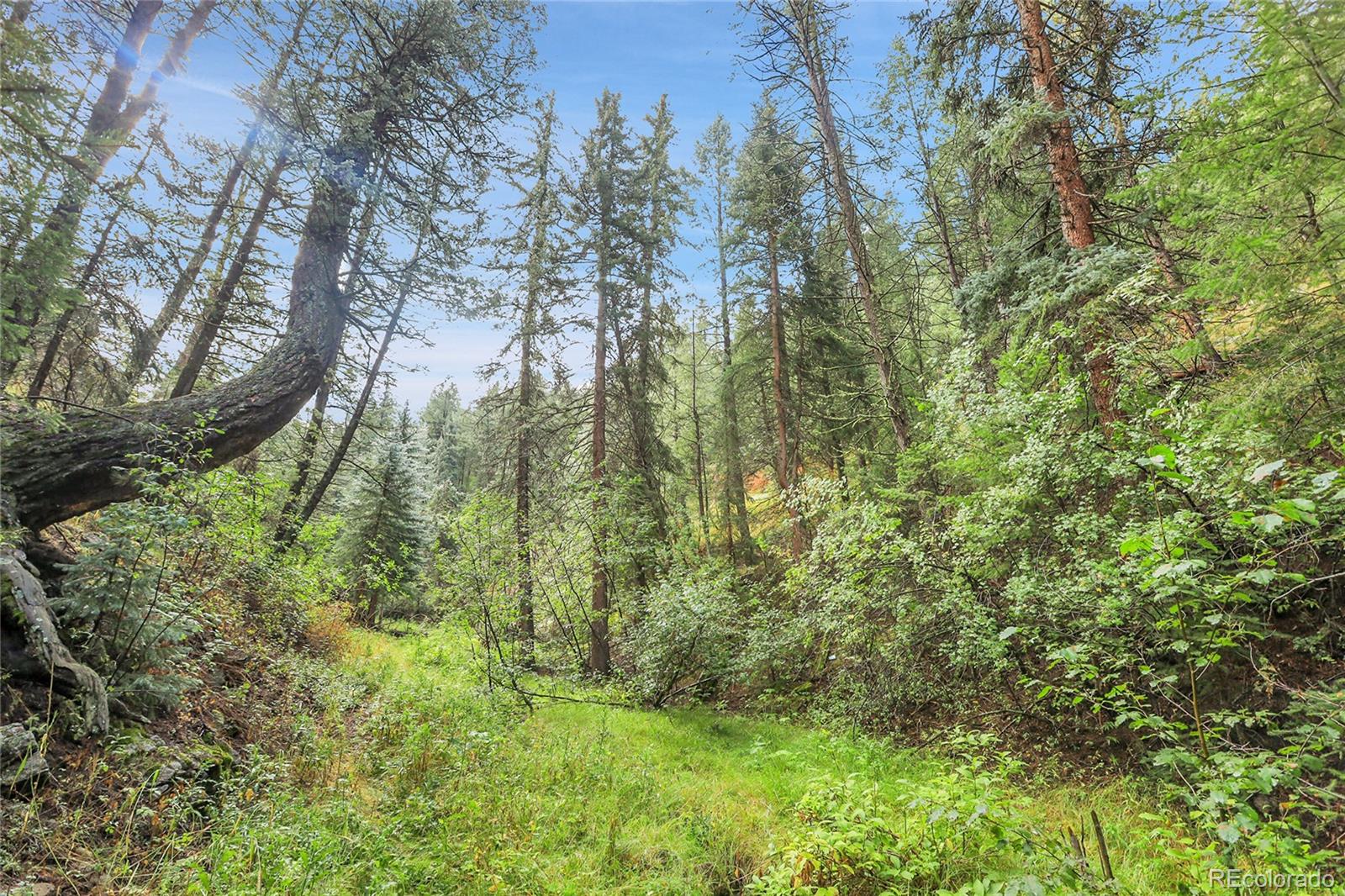Tbd Mountain Park Road Evergreen CO 80439