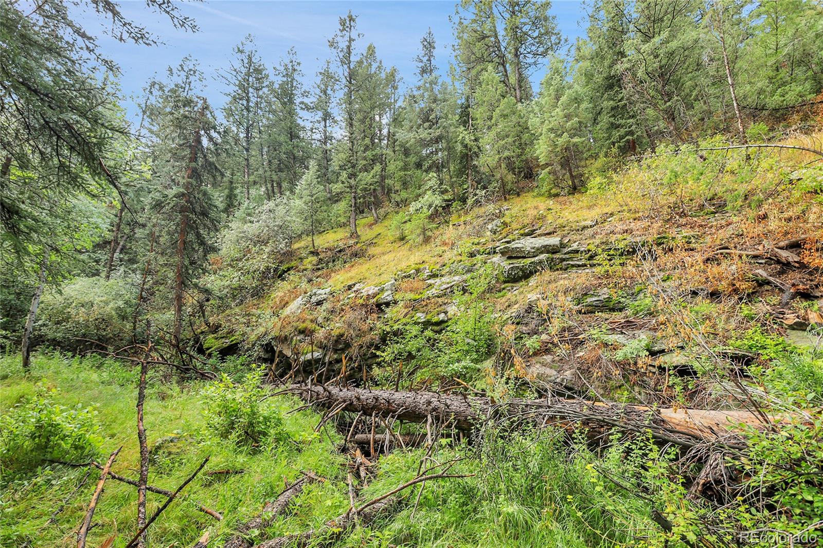 Tbd Mountain Park Road Evergreen CO 80439