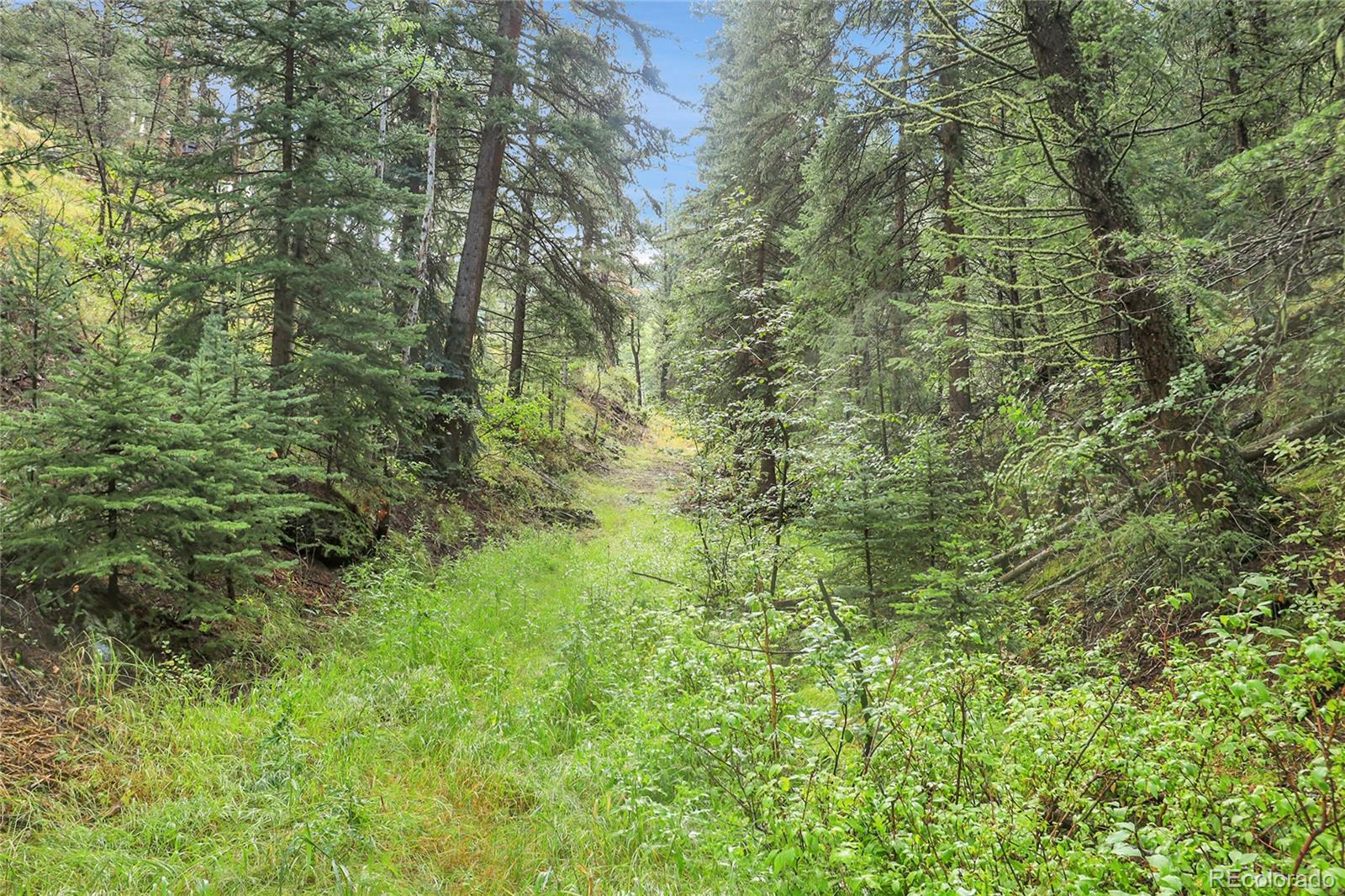 Tbd Mountain Park Road Evergreen CO 80439