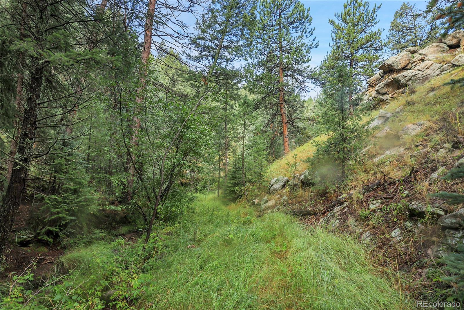Tbd Mountain Park Road Evergreen CO 80439