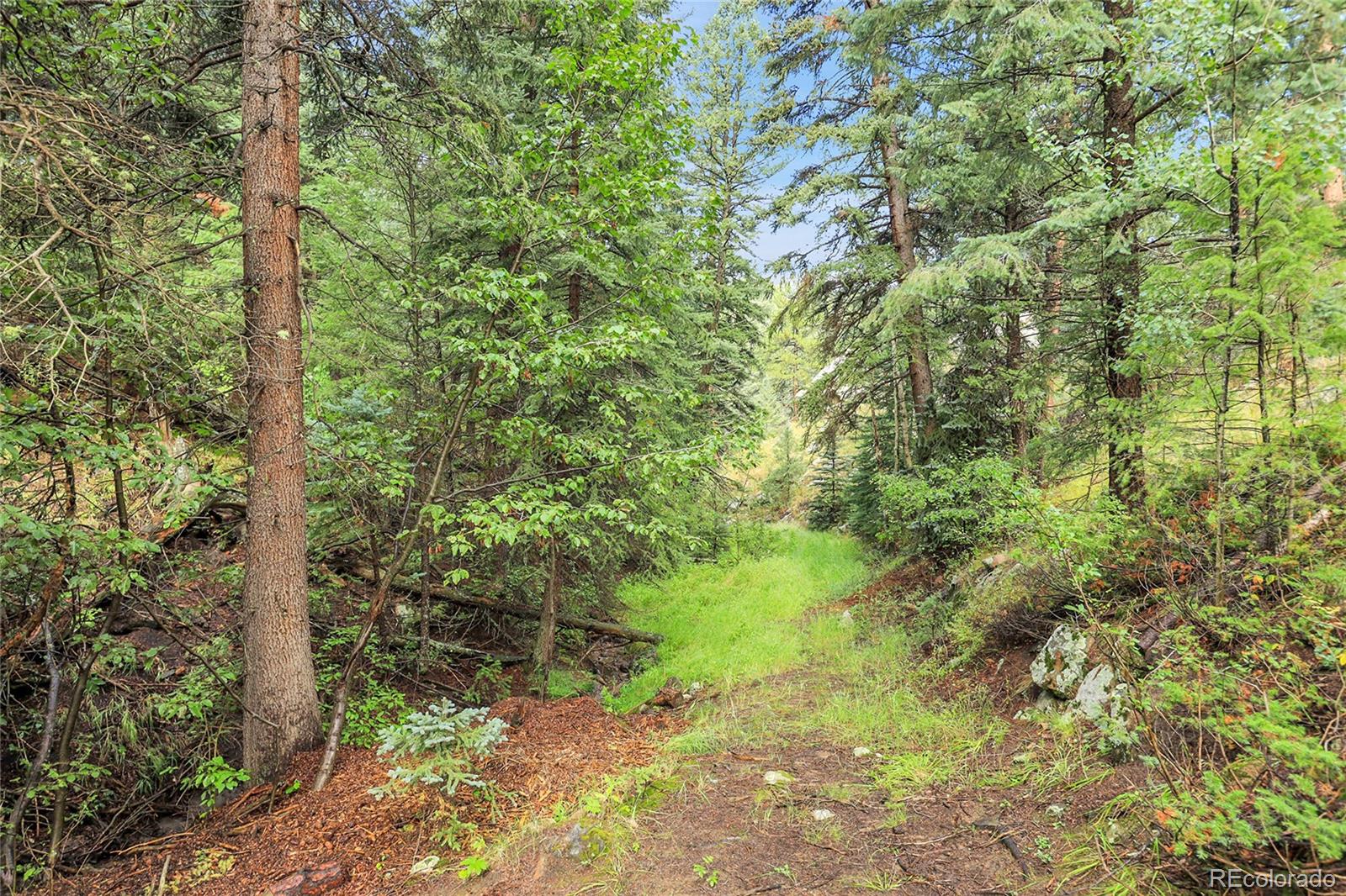 Tbd Mountain Park Road Evergreen CO 80439