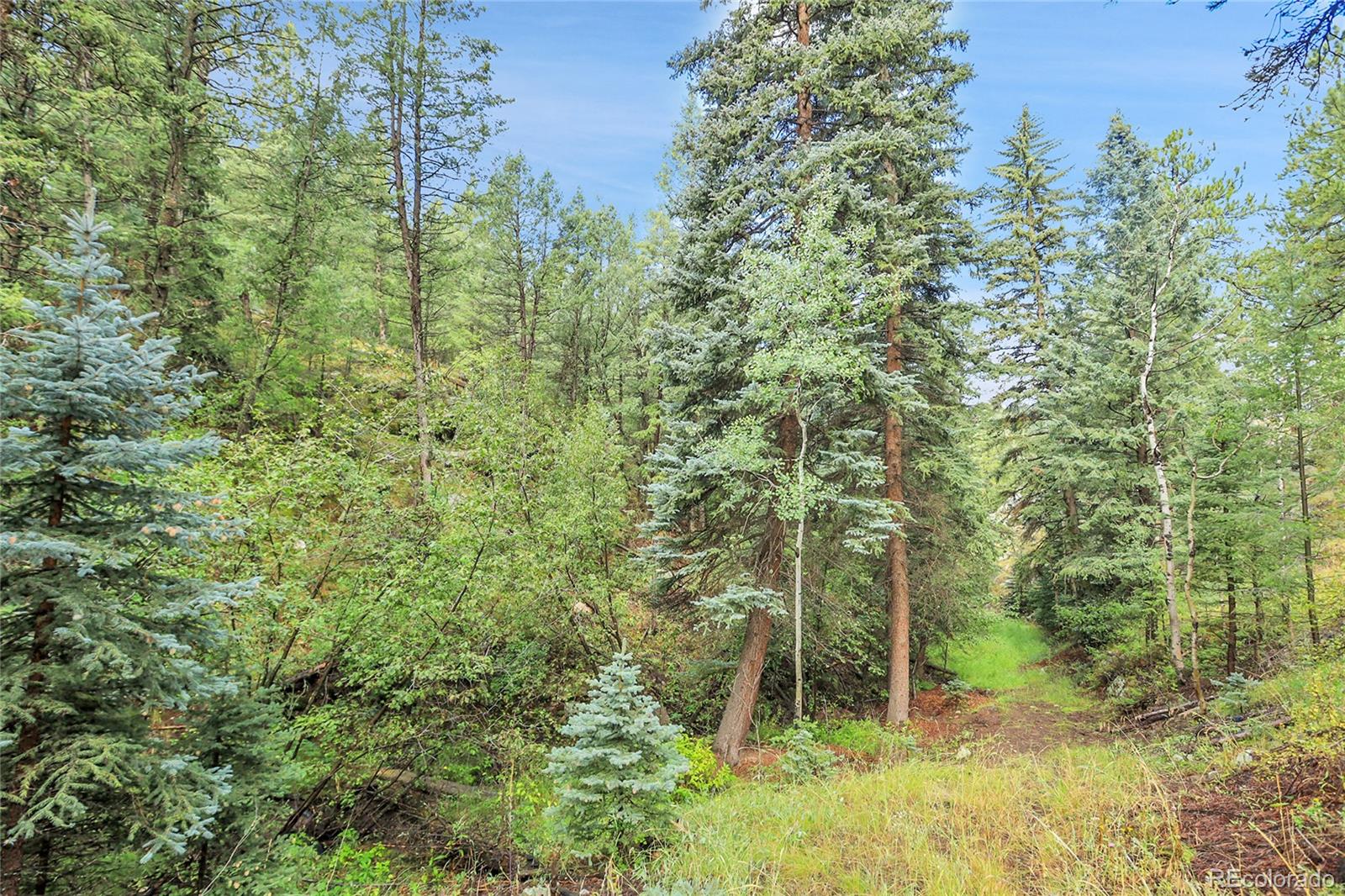 Tbd Mountain Park Road Evergreen CO 80439
