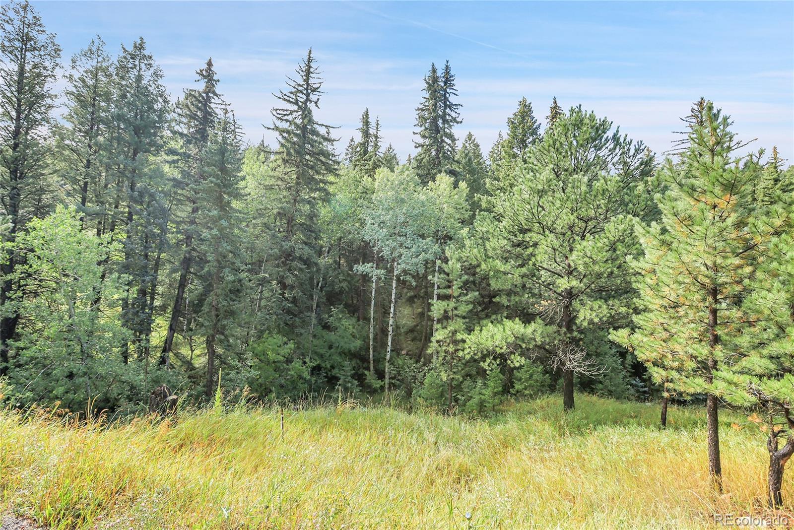 Tbd Mountain Park Road Evergreen CO 80439