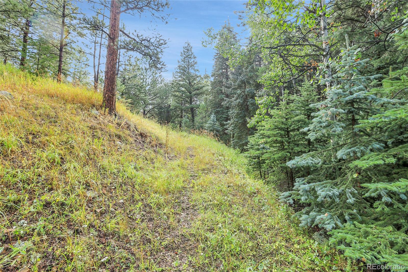 Tbd Mountain Park Road Evergreen CO 80439
