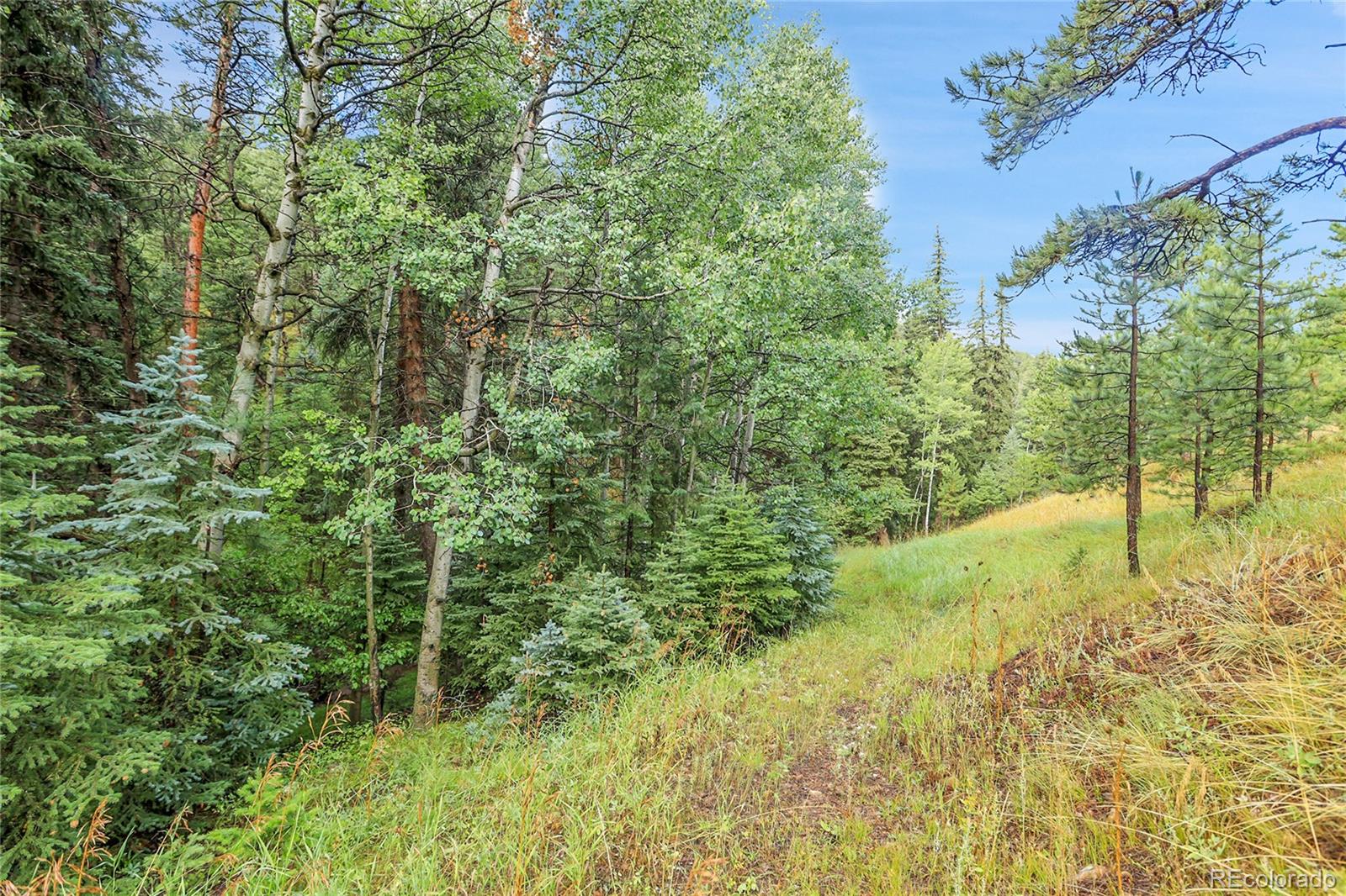 Tbd Mountain Park Road Evergreen CO 80439