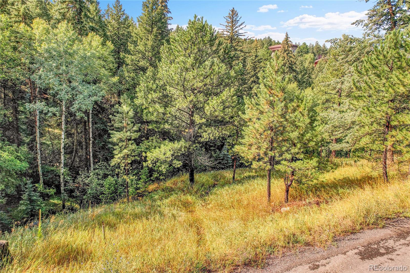 Tbd Mountain Park Road Evergreen CO 80439
