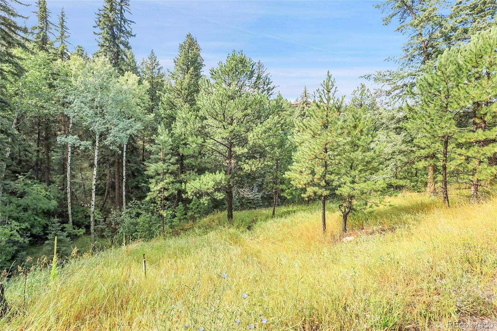 Tbd Mountain Park Road Evergreen CO 80439