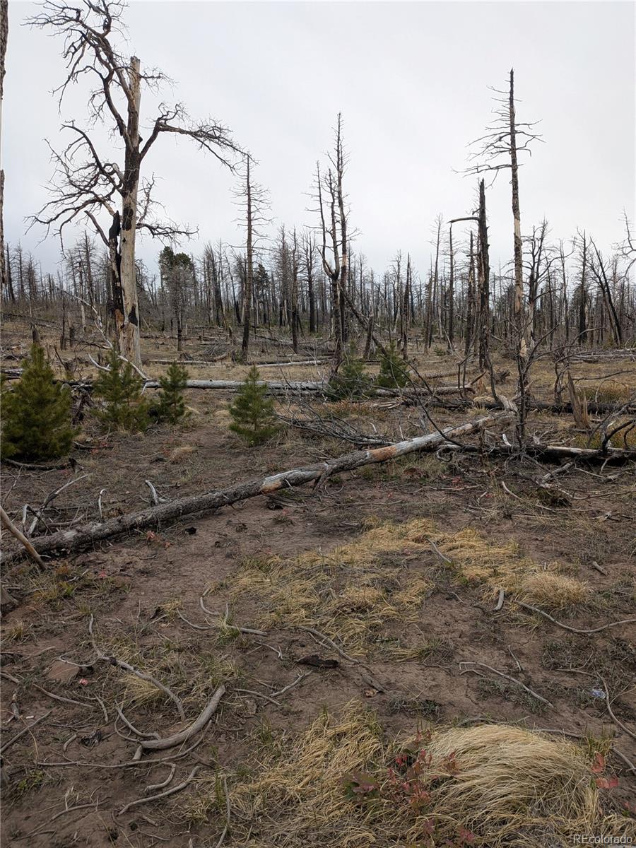 Lot 2296 Wohlstetter Loop Fort Garland CO 81133