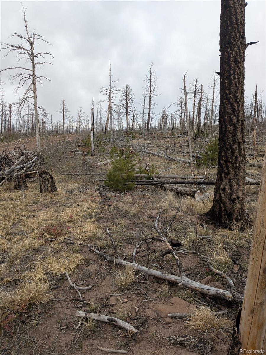 Lot 2296 Wohlstetter Loop Fort Garland CO 81133