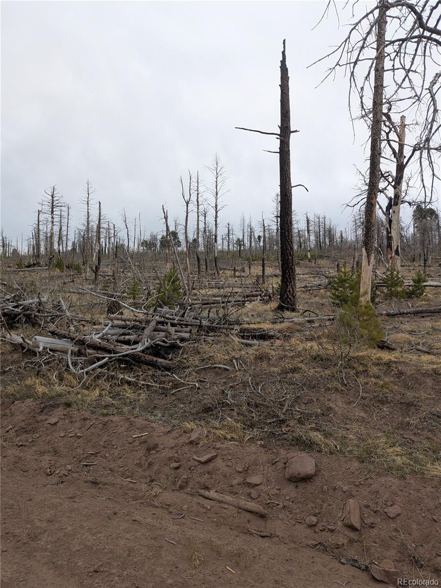 Lot 2296 Wohlstetter Loop Fort Garland CO 81133