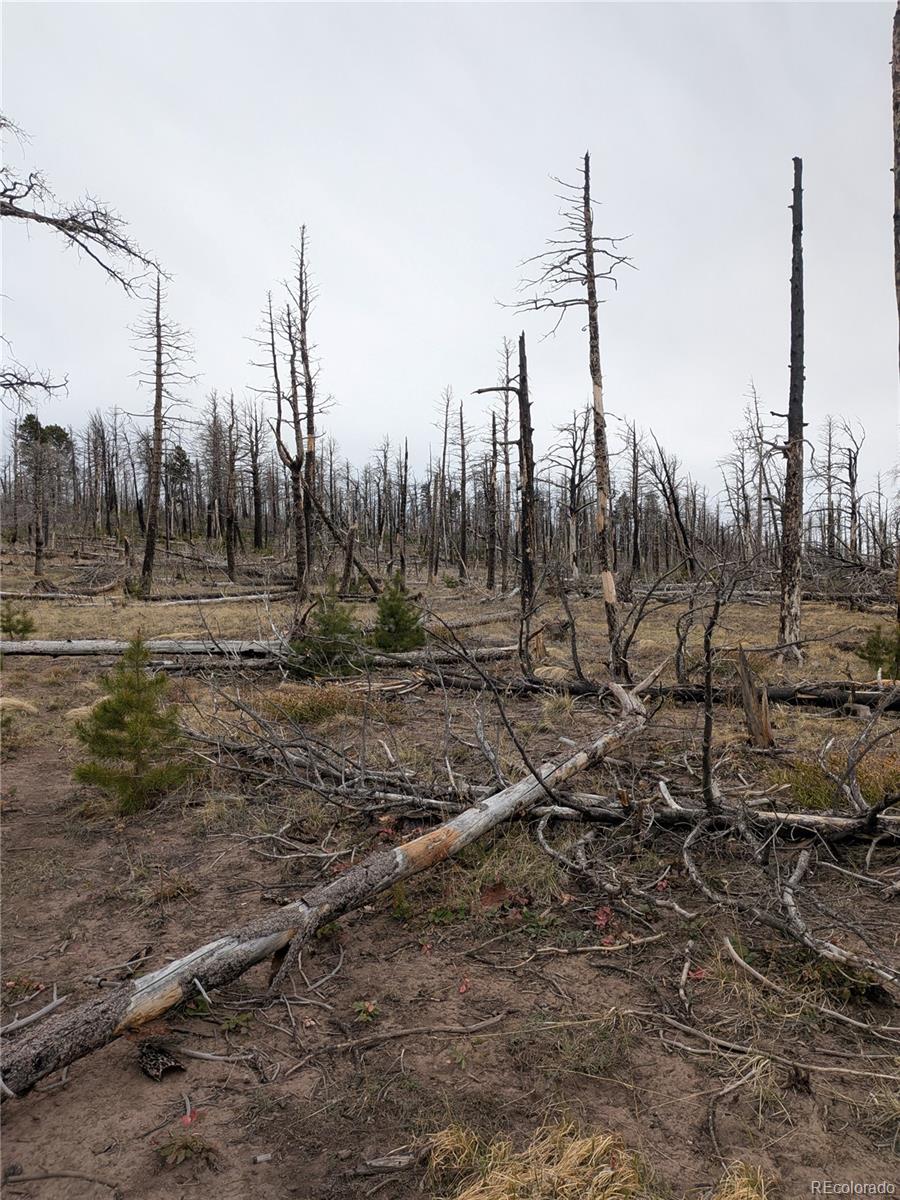 Lot 2296 Wohlstetter Loop Fort Garland CO 81133