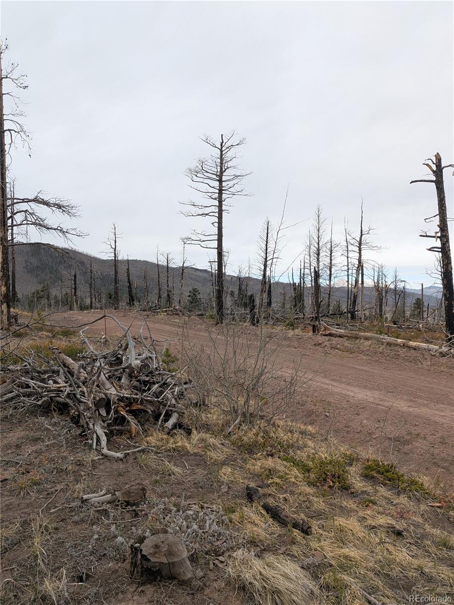 Lot 2296 Wohlstetter Loop Fort Garland CO 81133