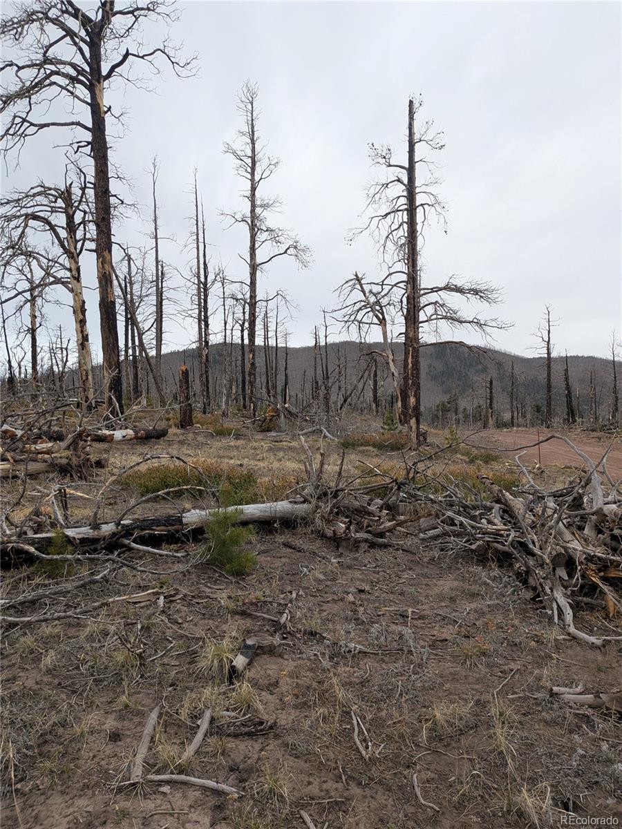 Lot 2296 Wohlstetter Loop Fort Garland CO 81133