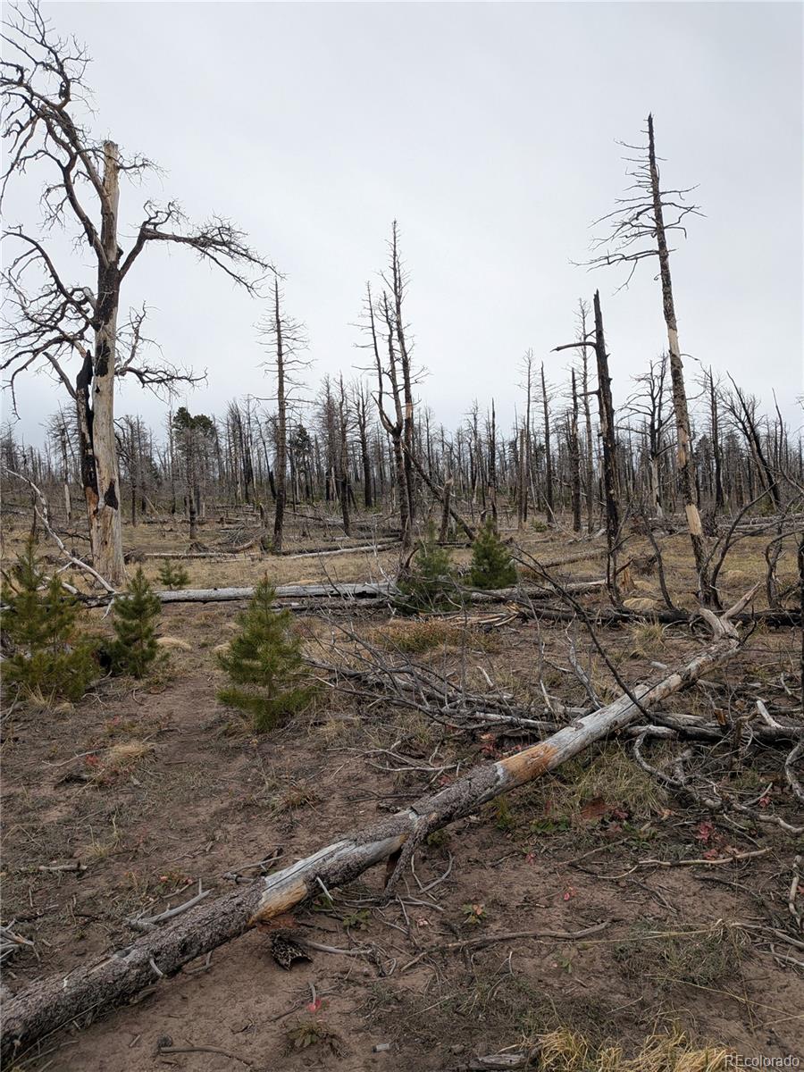 Lot 2296 Wohlstetter Loop Fort Garland CO 81133