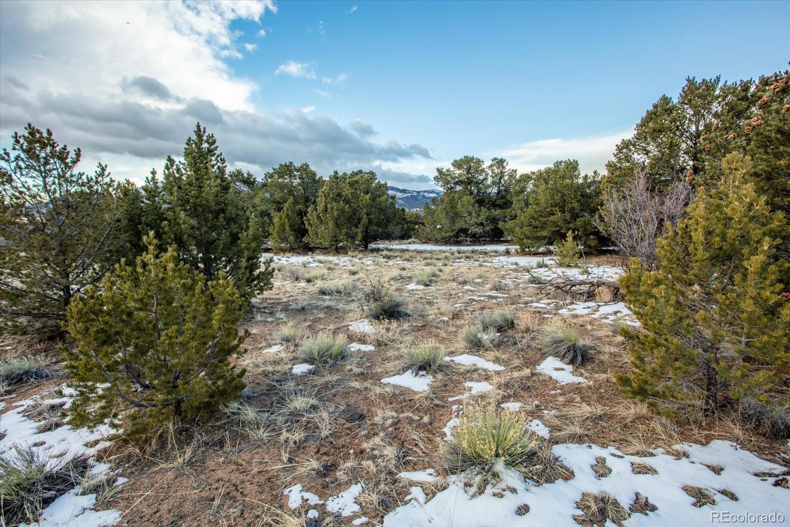 Tract 1 Cozart Lane Salida CO 81201