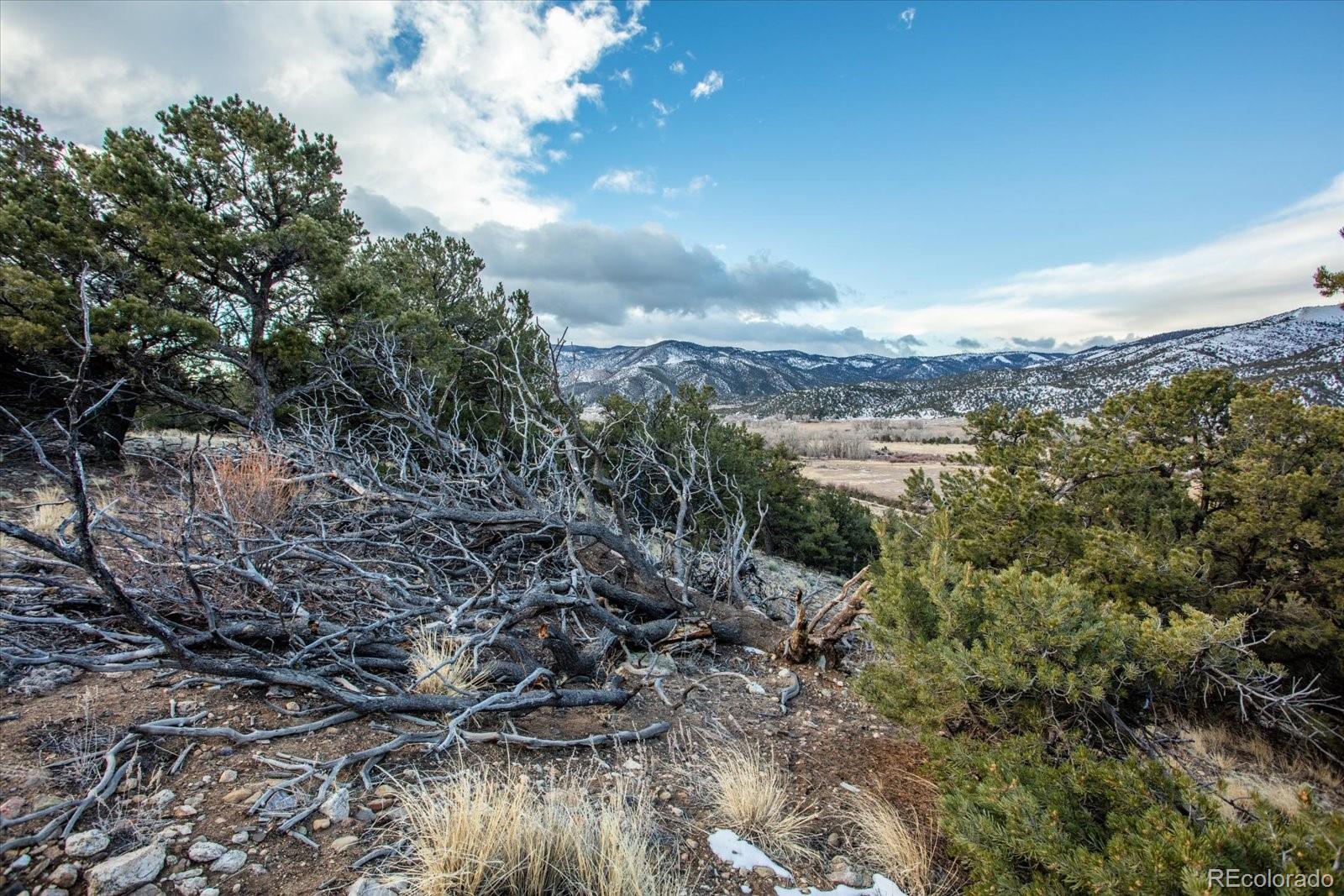 Tract 1 Cozart Lane Salida CO 81201