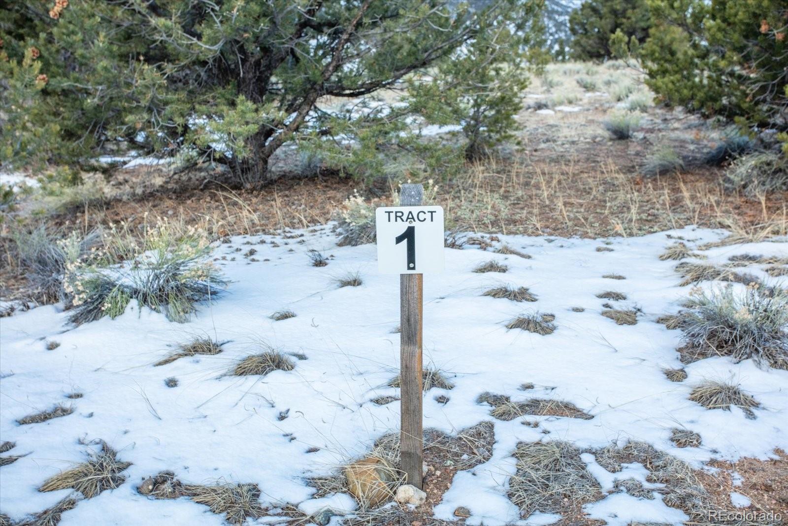 Tract 1 Cozart Lane Salida CO 81201