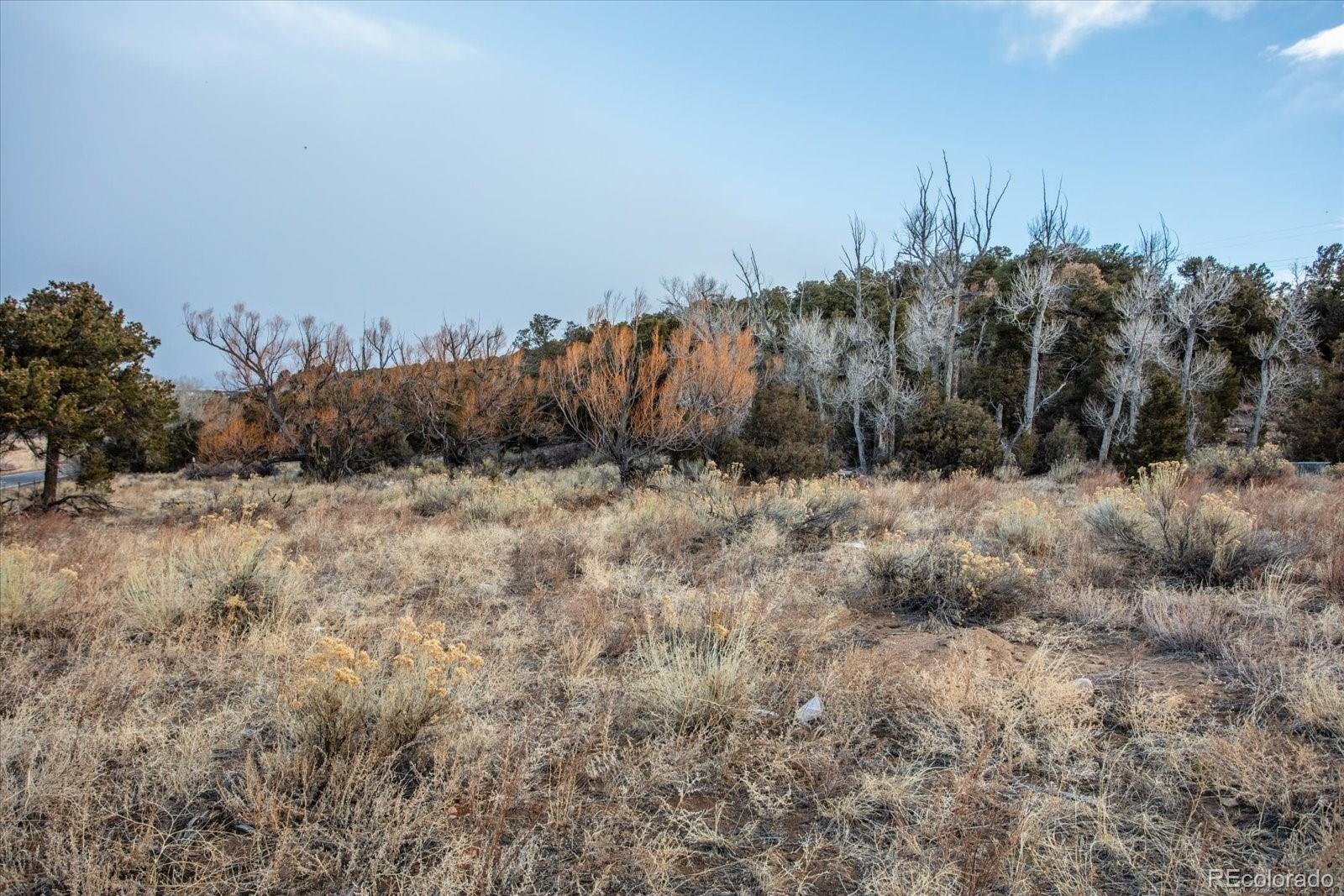 Tract 1 Cozart Lane Salida CO 81201