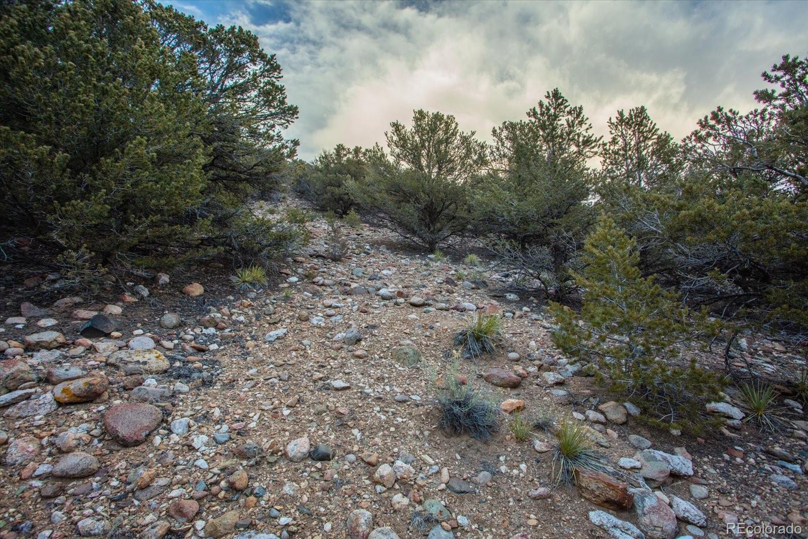 Tract 1 Cozart Lane Salida CO 81201