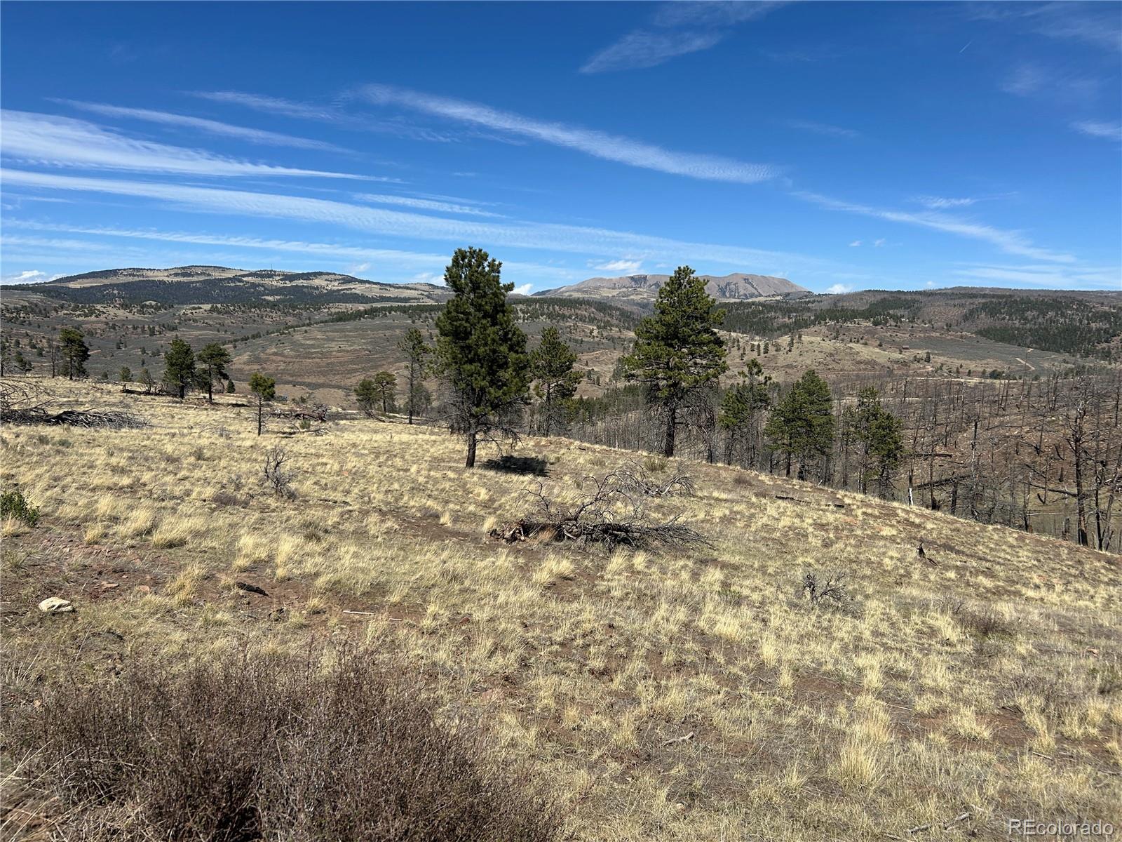 Lot 184 Forbes Park Fort Garland CO 81133