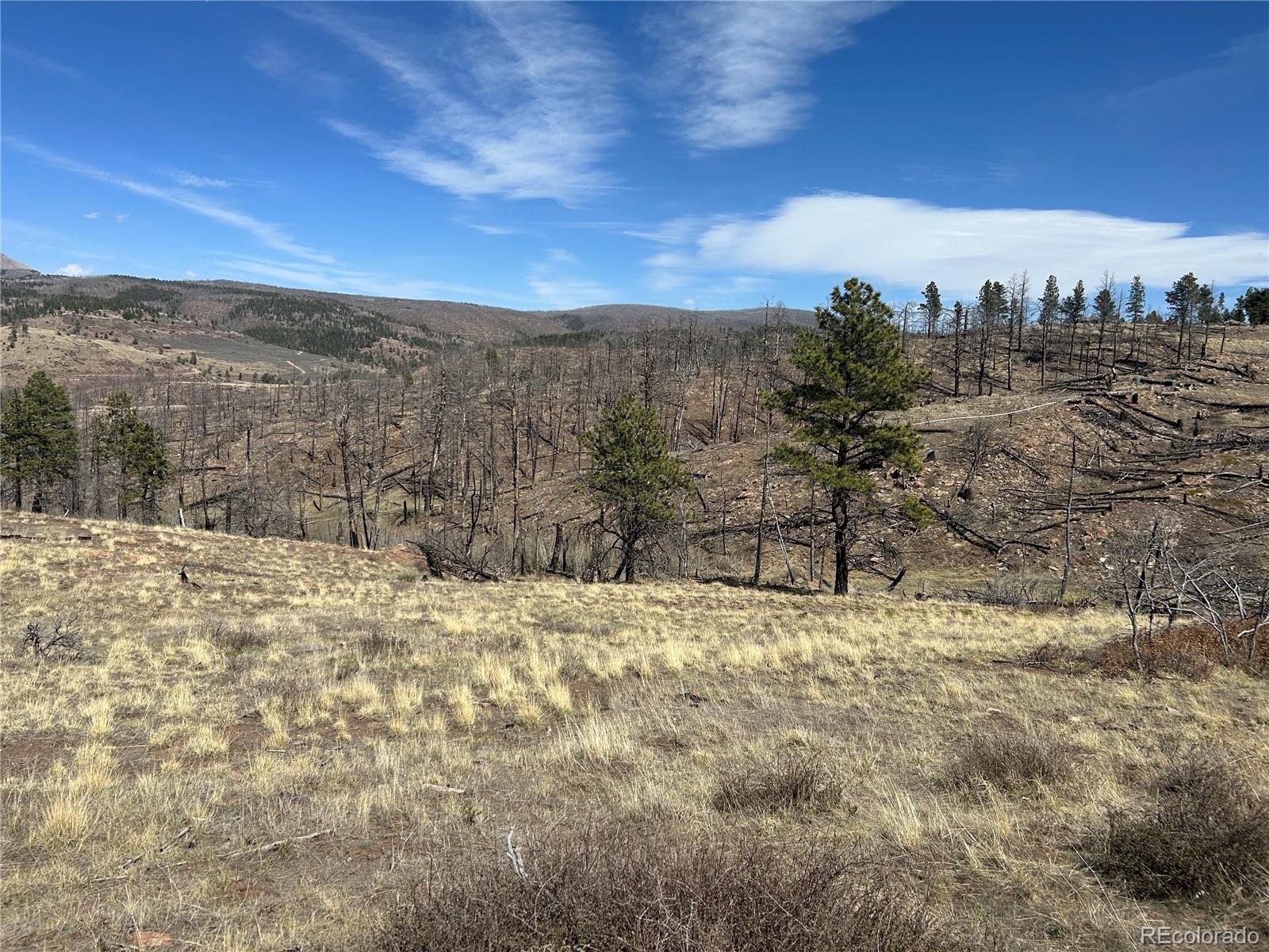 Lot 184 Forbes Park Fort Garland CO 81133