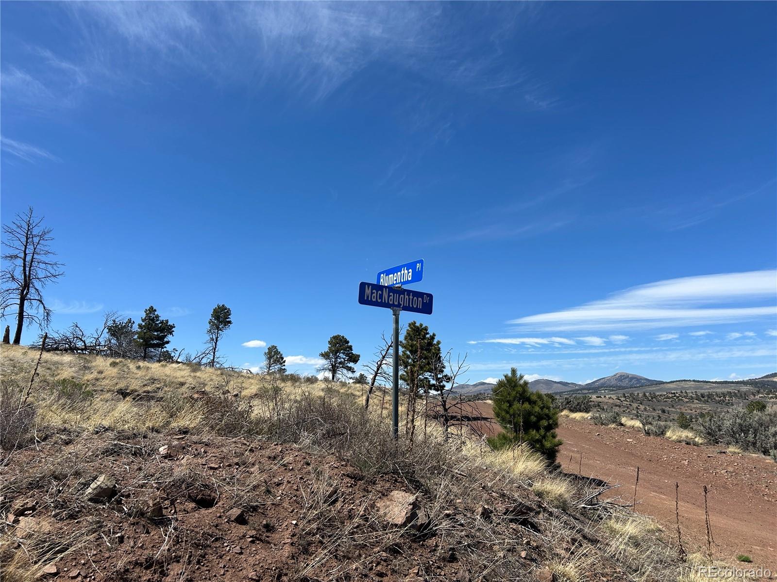 Lot 184 Forbes Park Fort Garland CO 81133