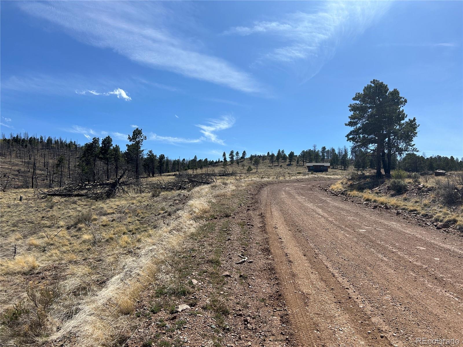 Lot 184 Forbes Park Fort Garland CO 81133
