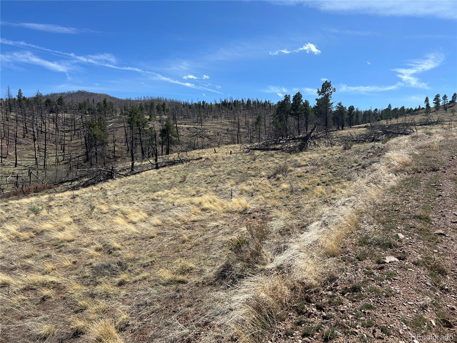 Lot 184 Forbes Park Fort Garland CO 81133