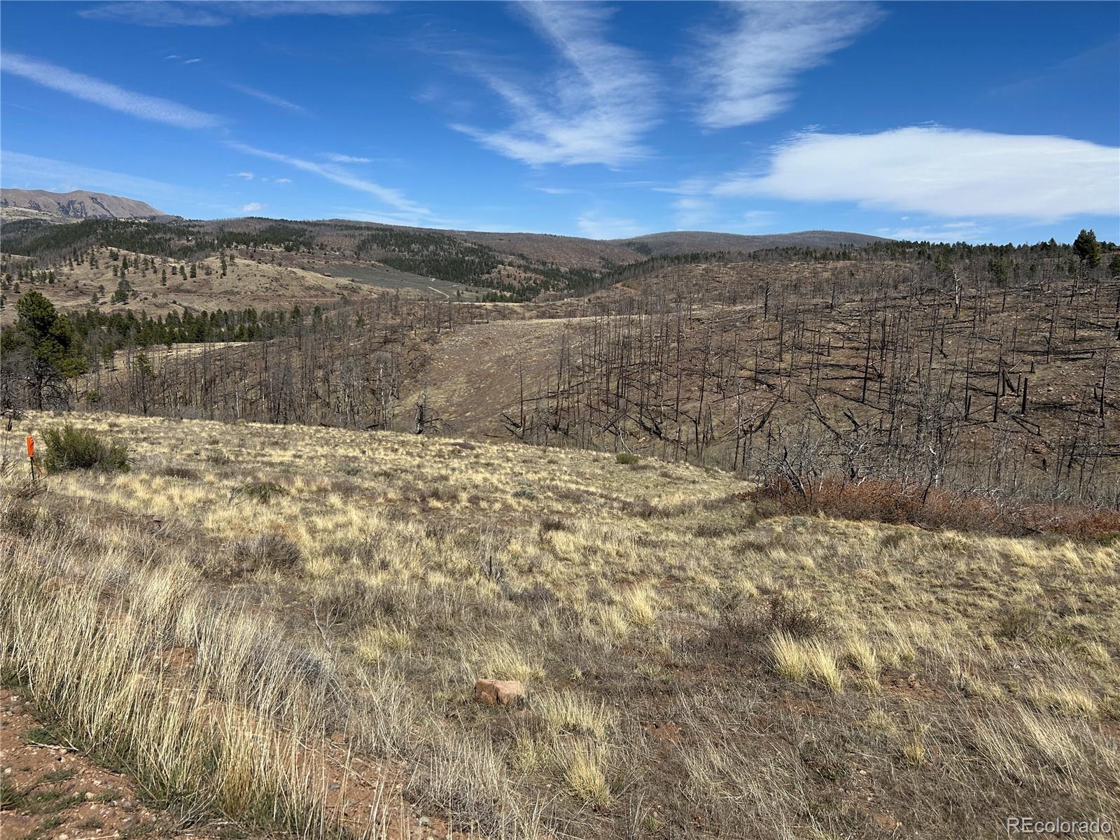 Lot 184 Forbes Park Fort Garland CO 81133