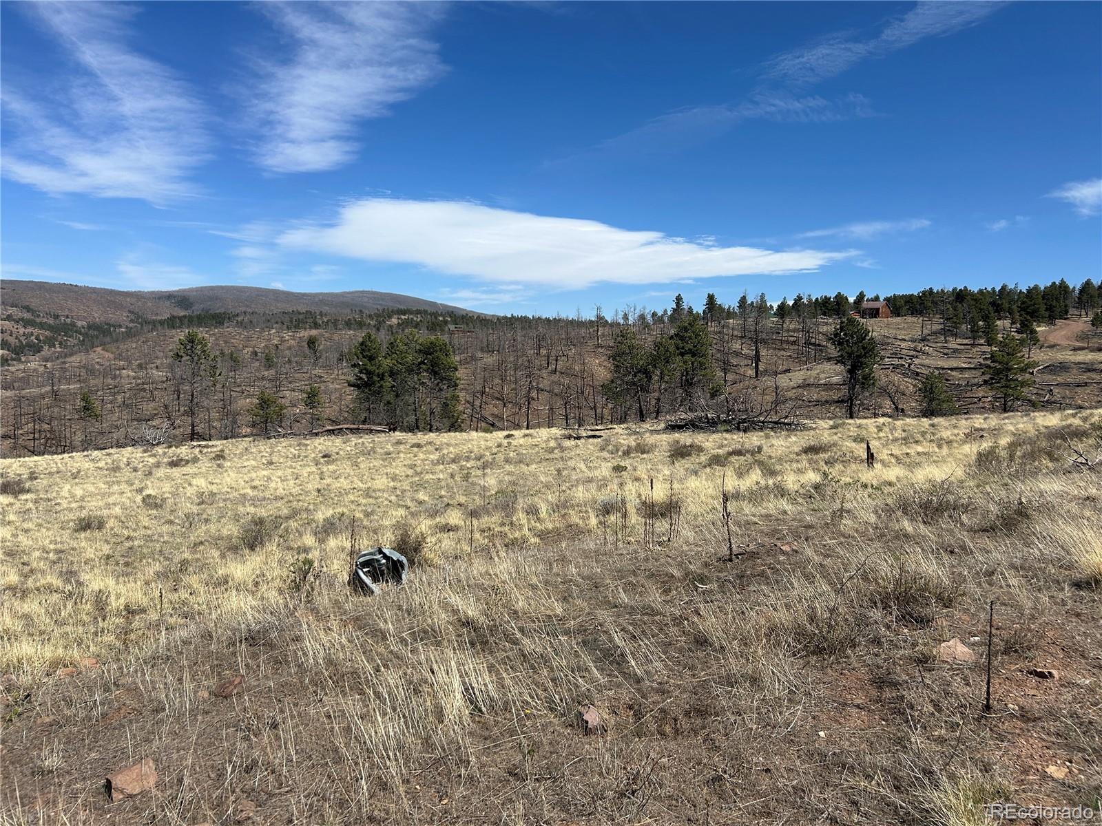 Lot 184 Forbes Park Fort Garland CO 81133