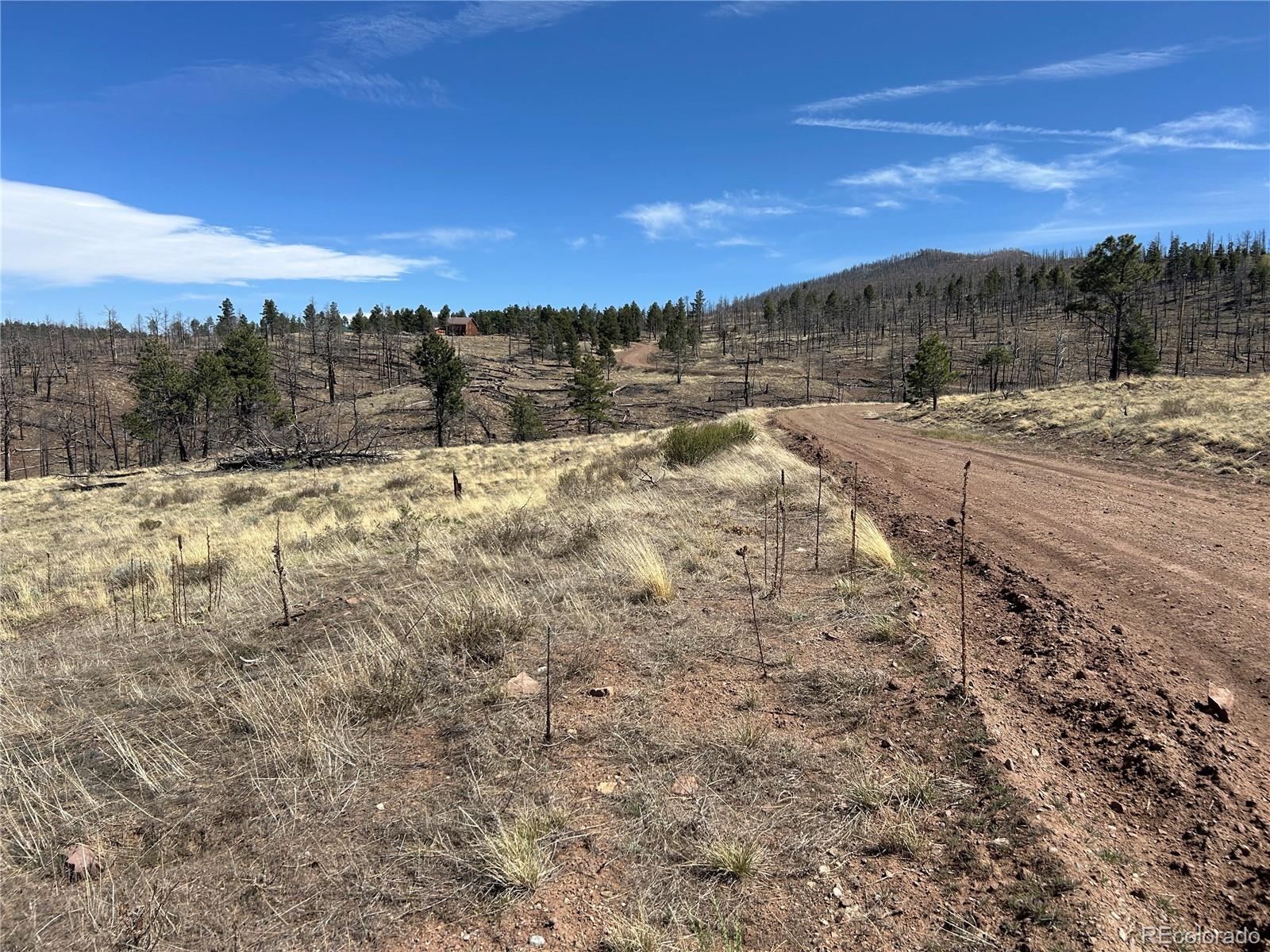 Lot 184 Forbes Park Fort Garland CO 81133