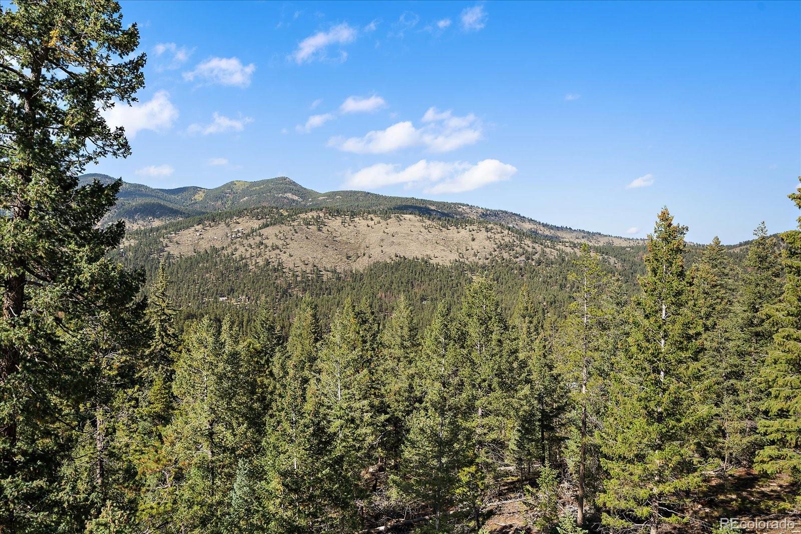33884 Bergen View Trail Evergreen CO 80439
