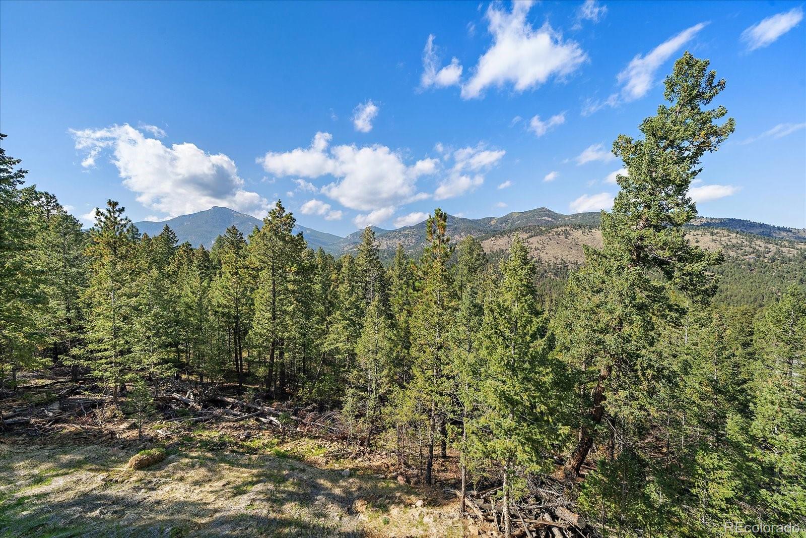 33884 Bergen View Trail Evergreen CO 80439