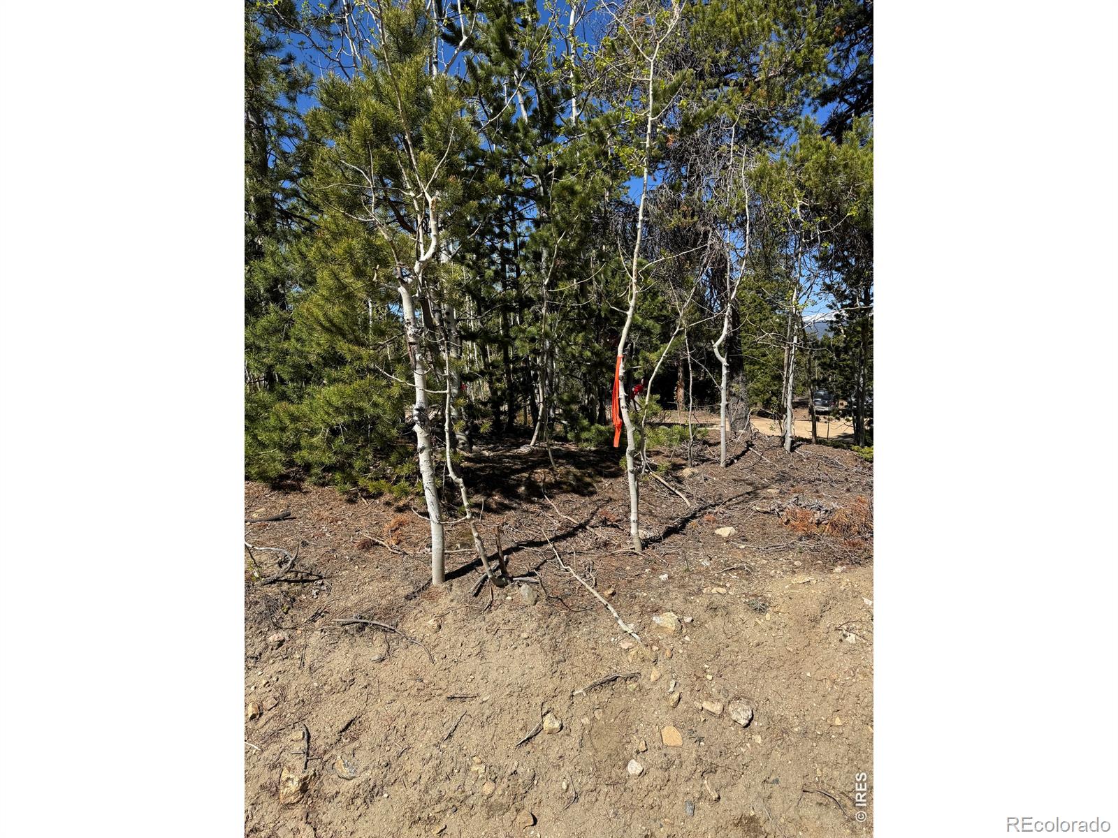 0 Randall Ridge Road Black Hawk CO 80422