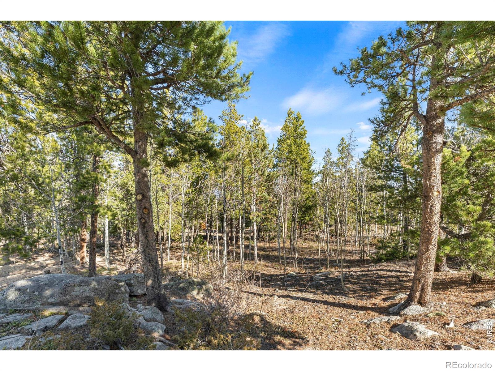 0 Randall Ridge Road Black Hawk CO 80422