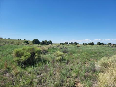 993 Pinon Road Crestone CO 81131